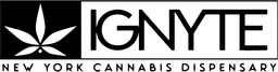NY Ignite